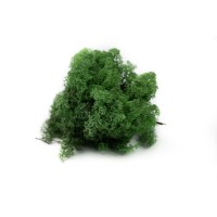 PHOCEALYS │Lichen stabilisé 500g│vente aux pros│Grossiste