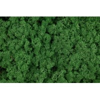 PHOCEALYS │Lichen stabilisé 500g│vente aux pros│Grossiste