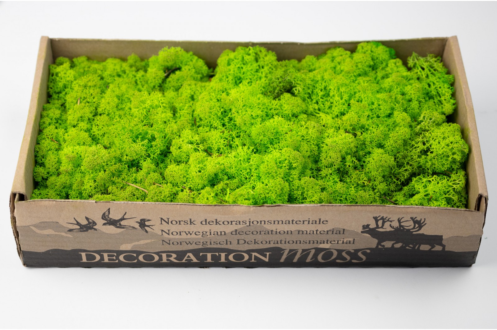 PHOCEALYS │Lichen stabilisé 500g│vente aux pros│Grossiste
