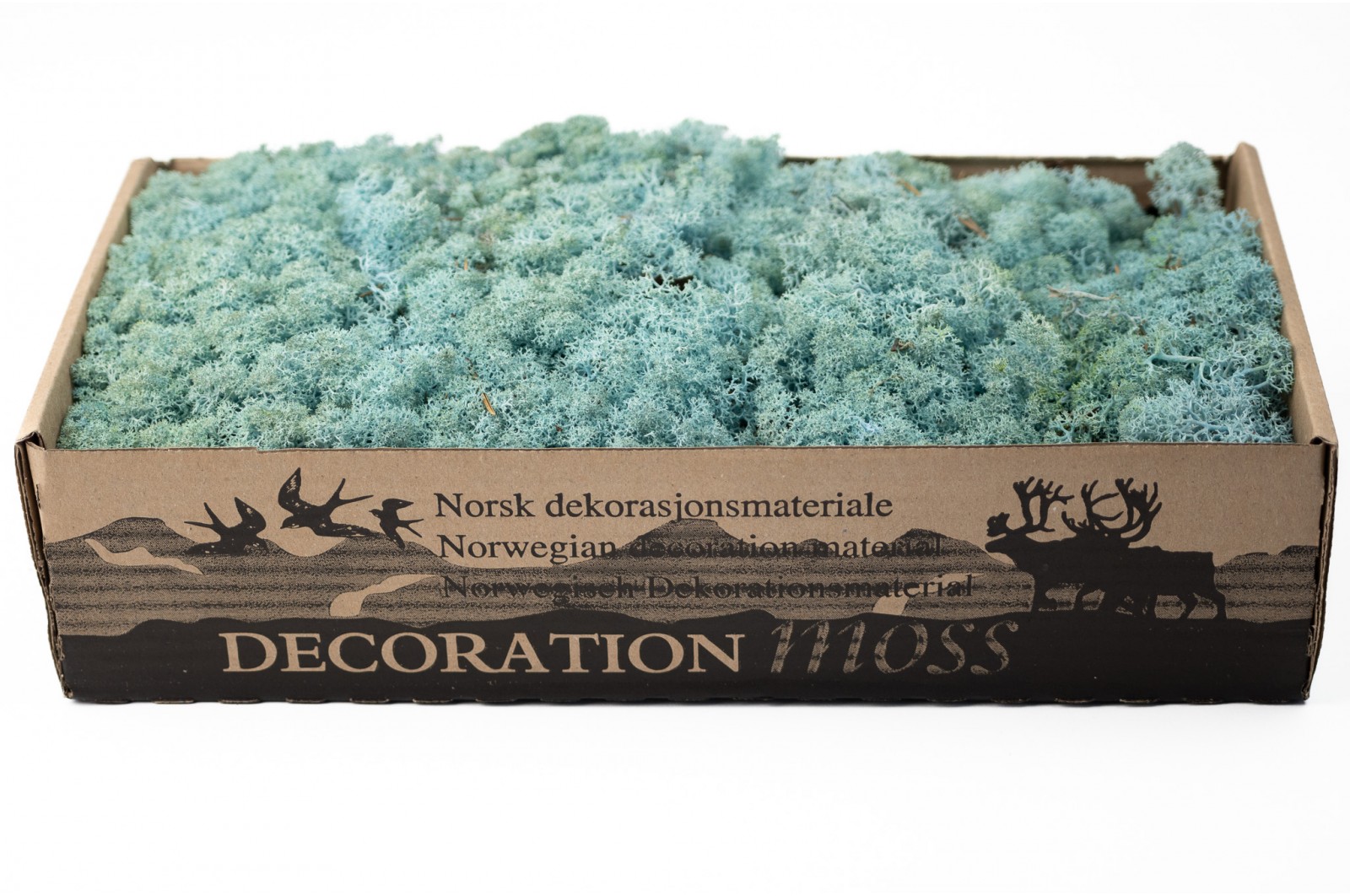 PHOCEALYS │Lichen stabilisé 500g│vente aux pros│Grossiste