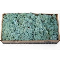 PHOCEALYS │Lichen stabilisé 500g│vente aux pros│Grossiste