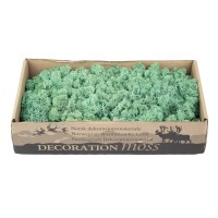 PHOCEALYS │Lichen stabilisé 500g│vente aux pros│Grossiste