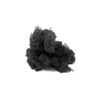 PHOCEALYS │Lichen stabilisé 500g│vente aux pros│Grossiste