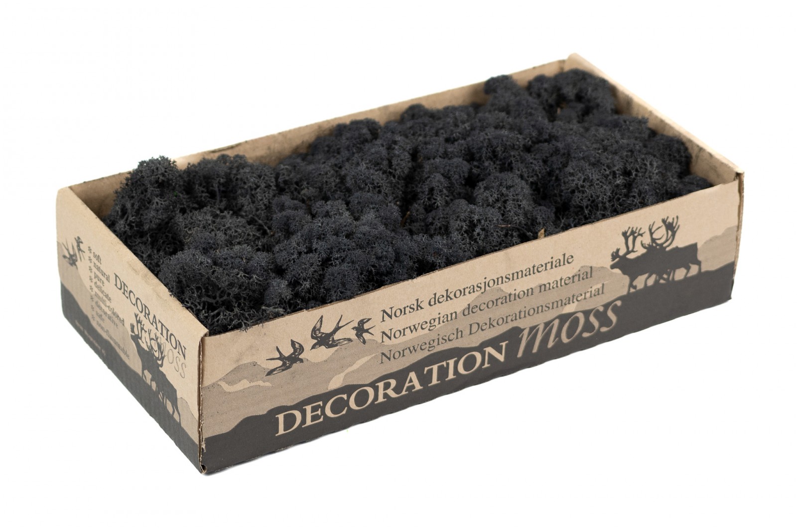 PHOCEALYS │Lichen stabilisé 500g│vente aux pros│Grossiste