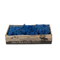 PHOCEALYS │Lichen stabilisé 500g│vente aux pros│Grossiste