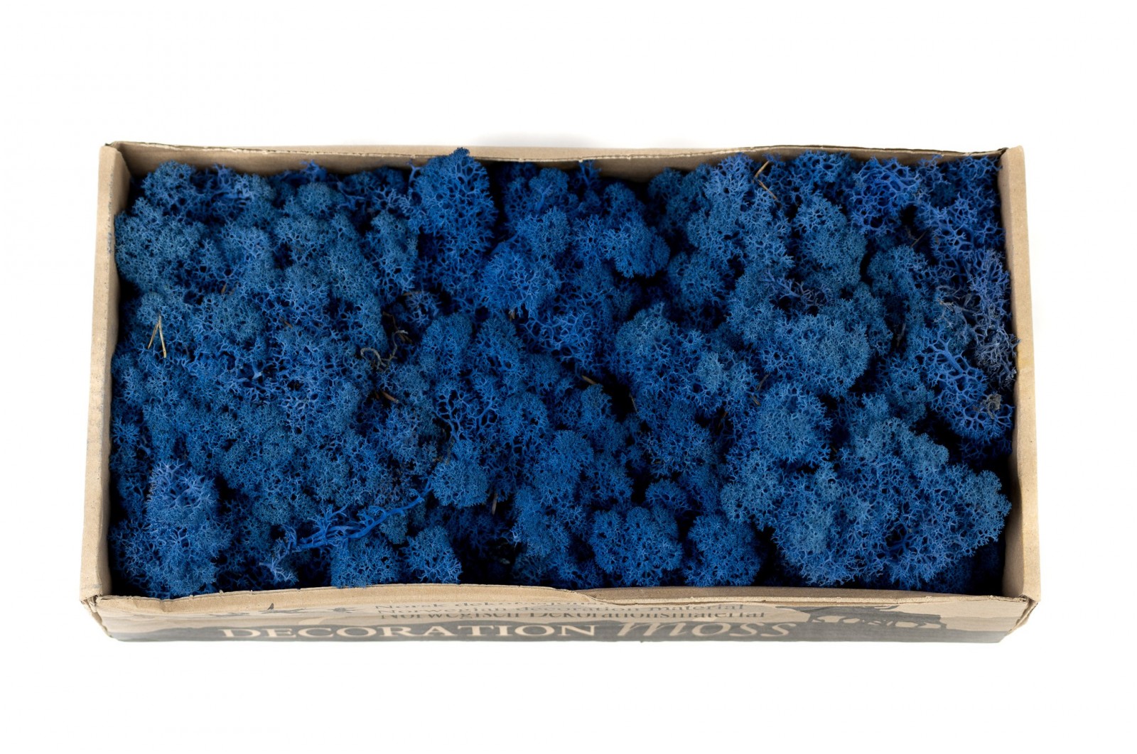 PHOCEALYS │Lichen stabilisé 500g│vente aux pros│Grossiste