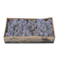 PHOCEALYS │Lichen stabilisé 500g│vente aux pros│Grossiste