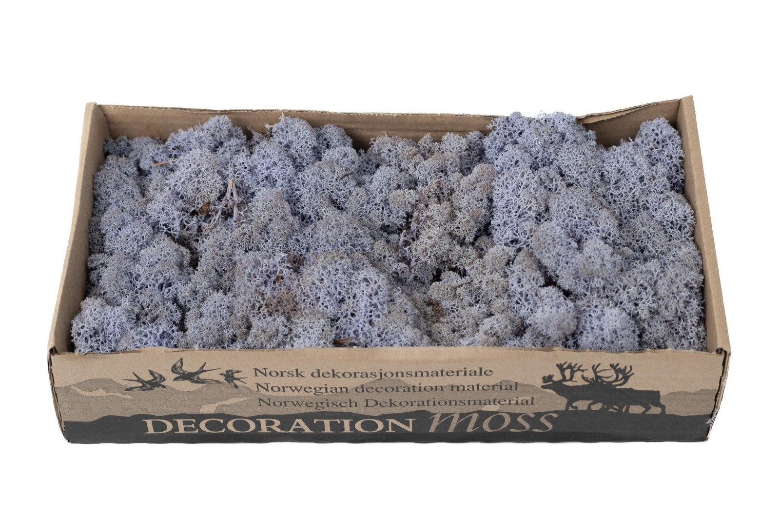 PHOCEALYS │Lichen stabilisé 500g│vente aux pros│Grossiste