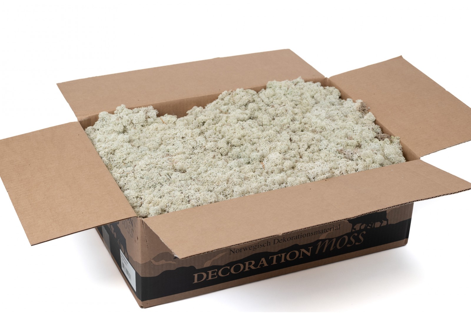 PHOCEALYS │Lichen stabilisé│vente aux pros│Grossiste