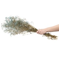 Gypsophile stabilisé│vente aux pros│Grossiste en végétaux stabilisés