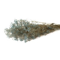 Gypsophile stabilisé│vente aux pros│Grossiste en végétaux stabilisés