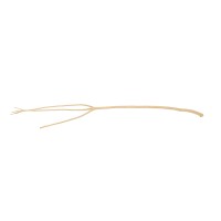 Branches de mitsumata │vente aux pros│Grossiste en fleurs séchées