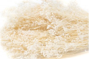Broom sec blanc / crème vente en vrac Phocealys grossiste fournisseur pros