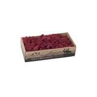 PHOCEALYS │Lichen stabilisé 500g│vente aux pros│Grossiste