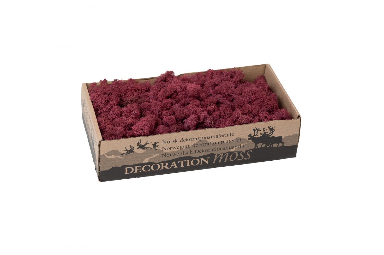 PHOCEALYS │Lichen stabilisé 500g│vente aux pros│Grossiste