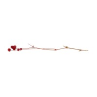PHOCEALYS │Gomphrena Stabilisé│vente aux pros│Grossiste en fleurs stabilisées