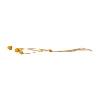 PHOCEALYS │Gomphrena Stabilisé│vente aux pros│Grossiste en fleurs stabilisées