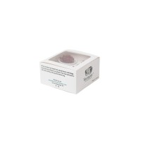 PHOCEALYS│Agapanthe stabilisée│vente aux pros│Grossiste