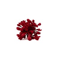 PHOCEALYS│Agapanthe stabilisée│vente aux pros│Grossiste