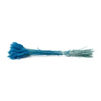 PHOCEALYS │Lagurus sec │vente aux pros│Grossiste en fleurs séchées
