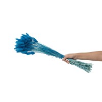 PHOCEALYS │Lagurus sec │vente aux pros│Grossiste en fleurs séchées