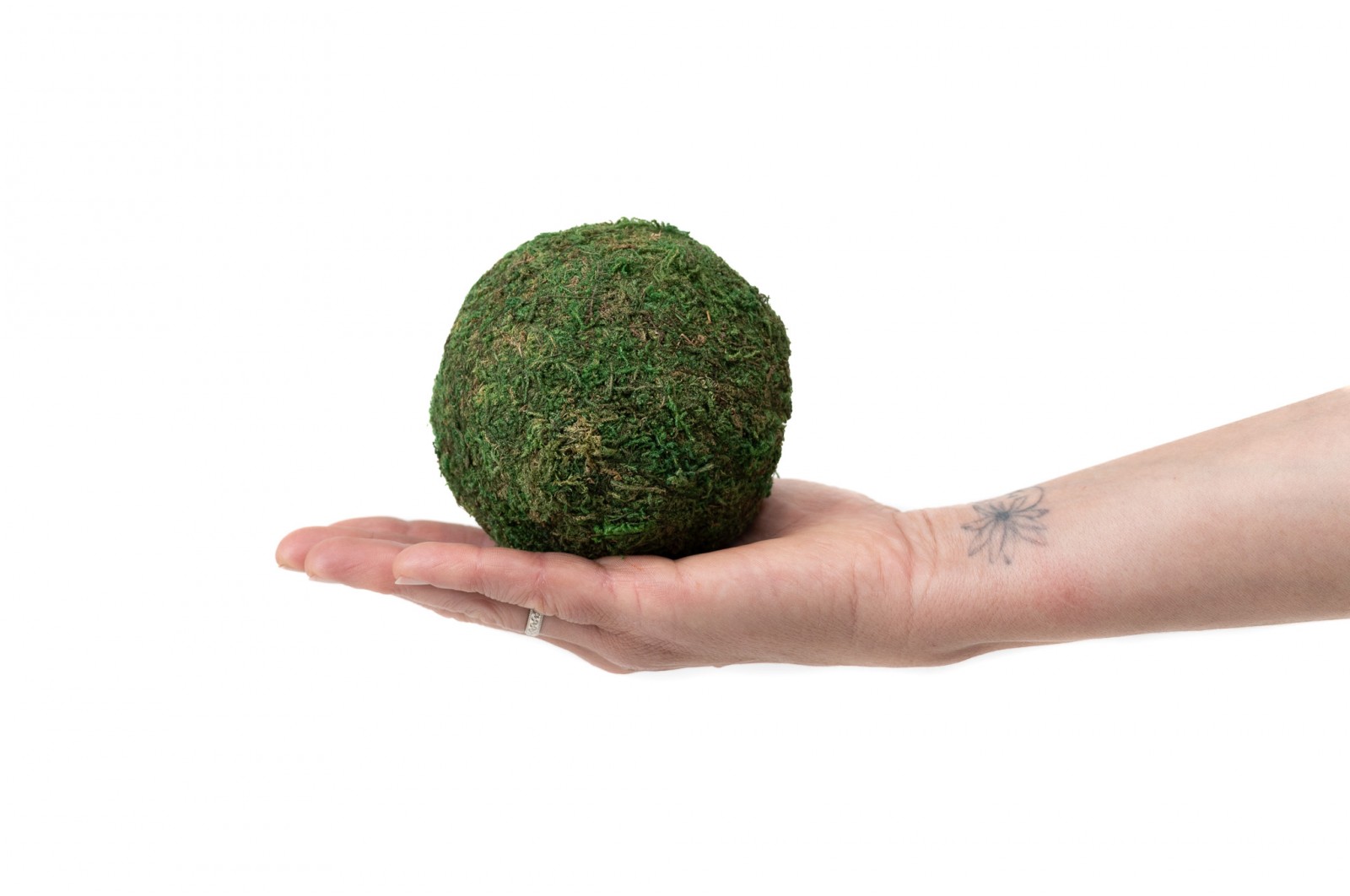 Boules de mousses stabilisées (Sachet)│vente aux pros│Grossiste en stabilisée