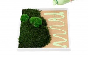 Colle pour mousse stabilisée|Accessoires|PHOCEALYS grossiste