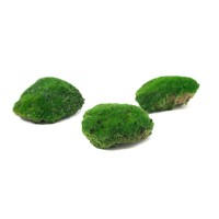 PHOCEALYS│Mousse boule stabilisée carton vrac│vente aux pros│Grossiste