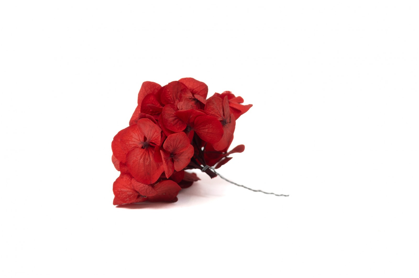 PHOCEALYS │Posy Hortensia stabilisé│vente aux pros│Grossiste
