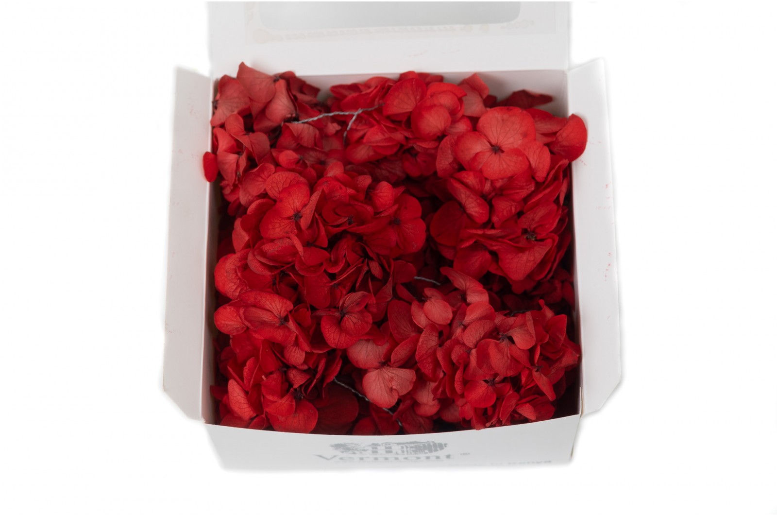 PHOCEALYS │Posy Hortensia stabilisé│vente aux pros│Grossiste