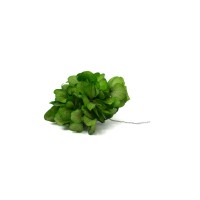 PHOCEALYS │Posy Hortensia stabilisé│vente aux pros│Grossiste