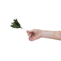 PHOCEALYS │Posy feuilles velvet stabilisés│vente aux pros│Grossiste
