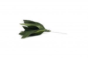 PHOCEALYS │Posy feuilles velvet stabilisés│vente aux pros│Grossiste