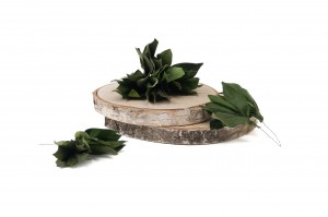 PHOCEALYS │Posy feuilles velvet stabilisés│vente aux pros│Grossiste