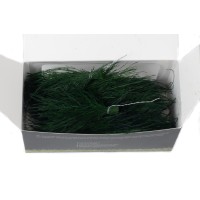 PHOCEALYS │Posy tree fern stabilisés│vente aux pros│Grossiste