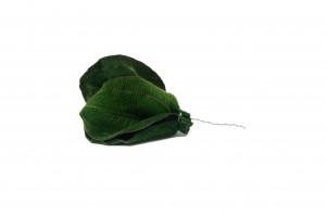 PHOCEALYS │Posy feuilles tibouchina stabilisés│vente aux pros│Grossiste