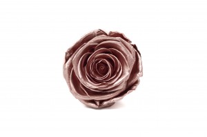 PHOCEALYS │Têtes de roses Kiara Satinées stabilisées L │vente aux pros│Grossiste