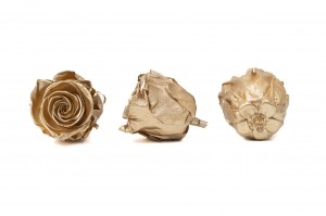 PHOCEALYS │Têtes de roses Kiara satinées stabilisées XL│vente aux pros│Grossiste