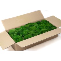 PHOCEALYS│Mousse boule stabilisée carton vrac│vente aux pros│Grossiste