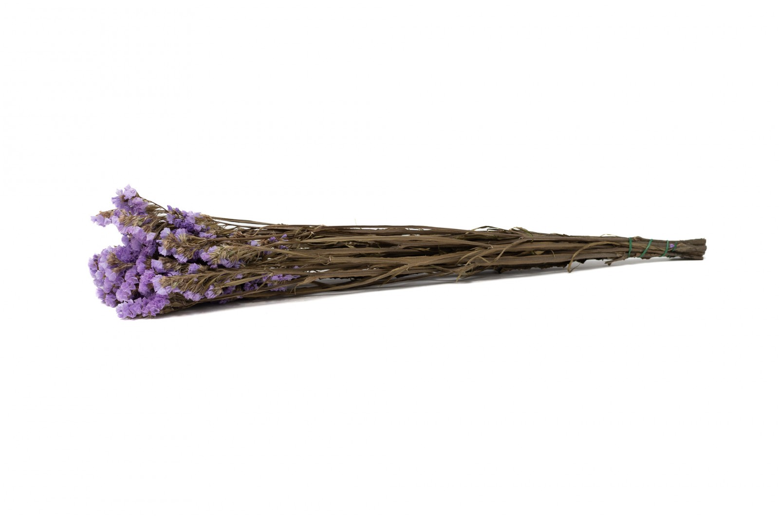 PHOCEALYS│Statice stabilisée│vente aux pros│Grossiste en fleurs séchées