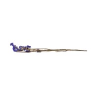 PHOCEALYS│Statice stabilisée│vente aux pros│Grossiste en fleurs séchées