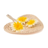 PHOCEALYS│Dahlia stabilisé│vente aux pros│Grossiste