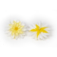 PHOCEALYS│Dahlia stabilisé│vente aux pros│Grossiste