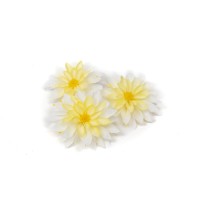 PHOCEALYS│Dahlia stabilisé│vente aux pros│Grossiste