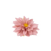 PHOCEALYS│Dahlia stabilisé│vente aux pros│Grossiste