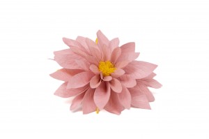 PHOCEALYS│Dahlia stabilisé│vente aux pros│Grossiste