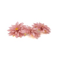PHOCEALYS│Dahlia stabilisé│vente aux pros│Grossiste