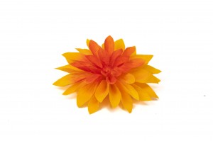PHOCEALYS│Dahlia stabilisé│vente aux pros│Grossiste