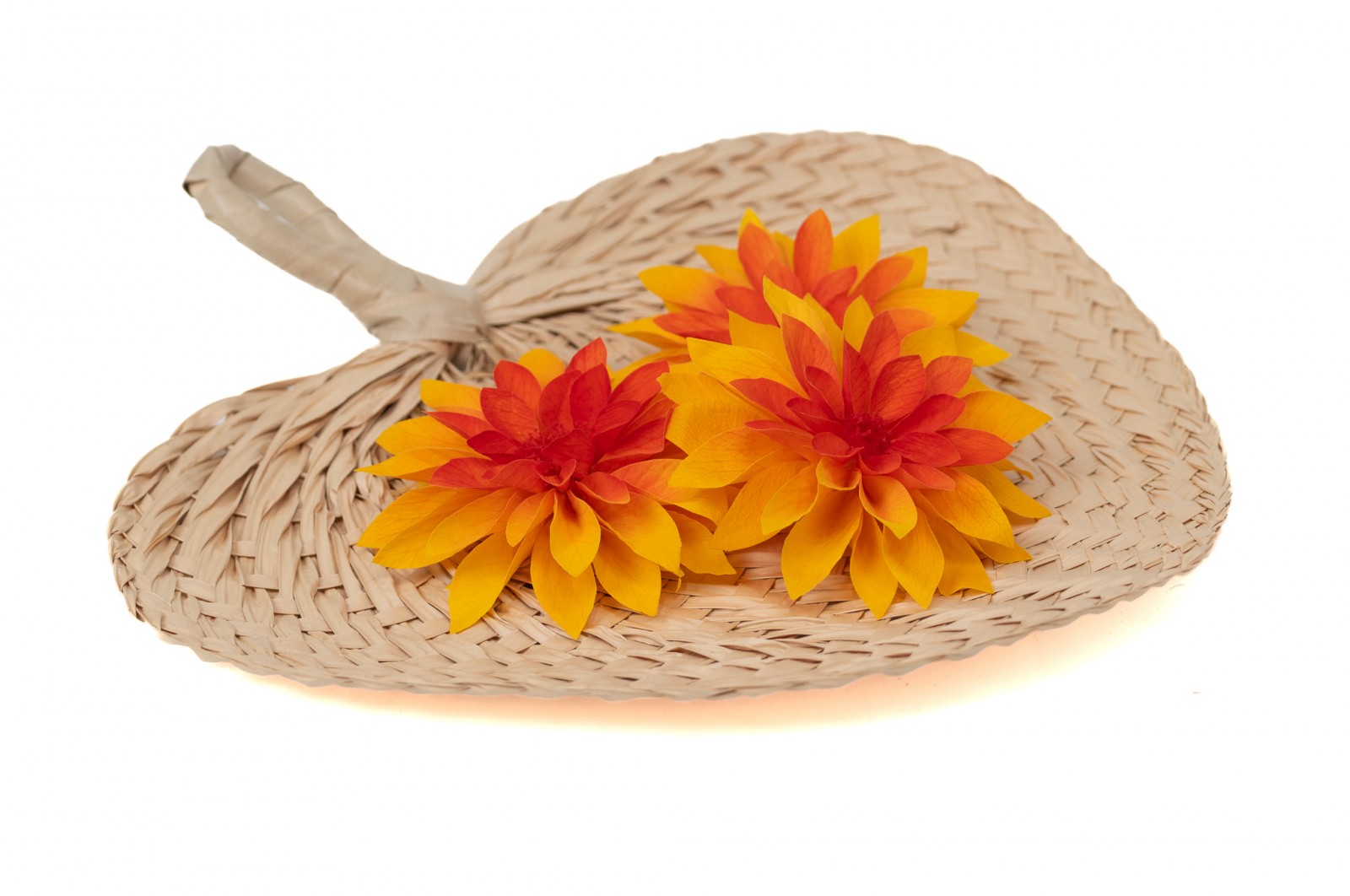 PHOCEALYS│Dahlia stabilisé│vente aux pros│Grossiste