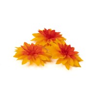 PHOCEALYS│Dahlia stabilisé│vente aux pros│Grossiste